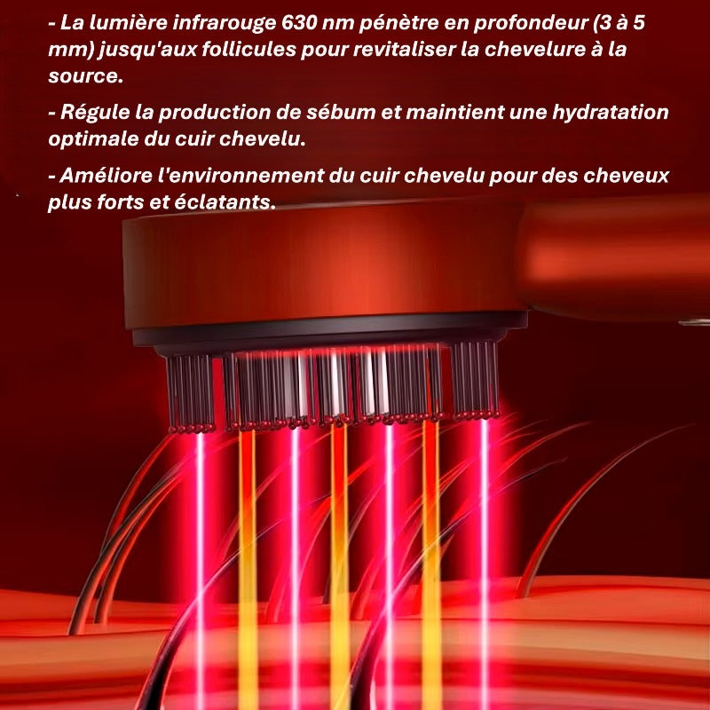 Brosse de massage capillaire